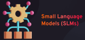 Small Language Models (SLMs) Training in Finland