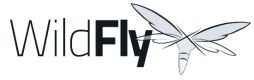 Wildfly Training in Finland